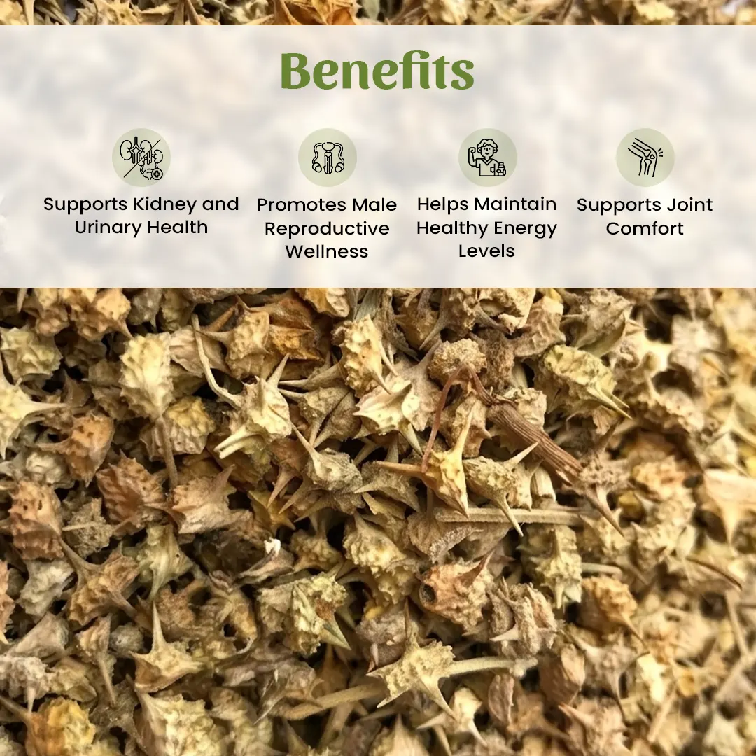 3 Gokharu Benefits
