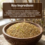 Neel Ayurvedics Apamarga Seeds