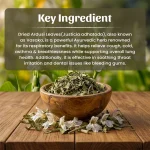 Neel Ayurvedics Dried Ardusi Leaves