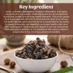 Dry Amla Whole Herbs Mockup