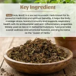 Dried Tulsi Leaves Whole Herbs Mockup