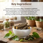 Giloy Dry Stems Whole Herbs Mockup
