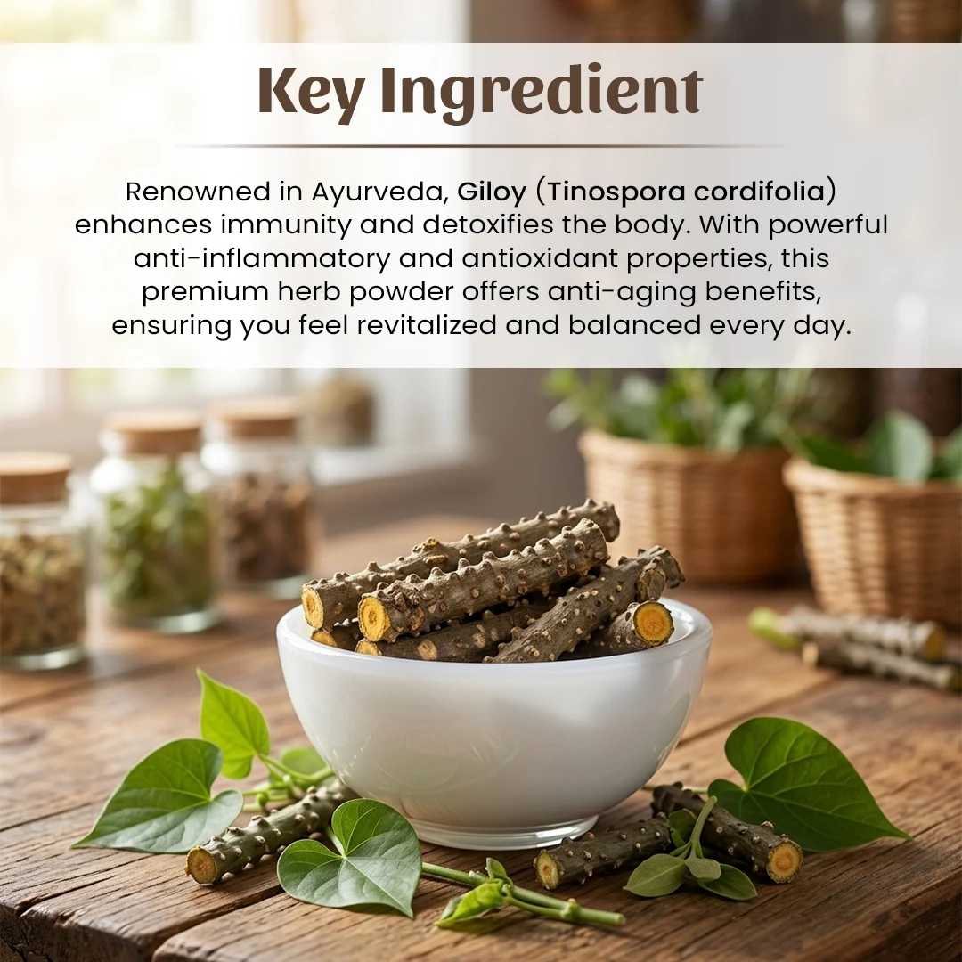 4 Giloy Dry Ingredieant