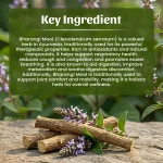 Bharang Mool Whole Herb Mockup