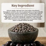 Neel Ayurvedics Jamun Seeds