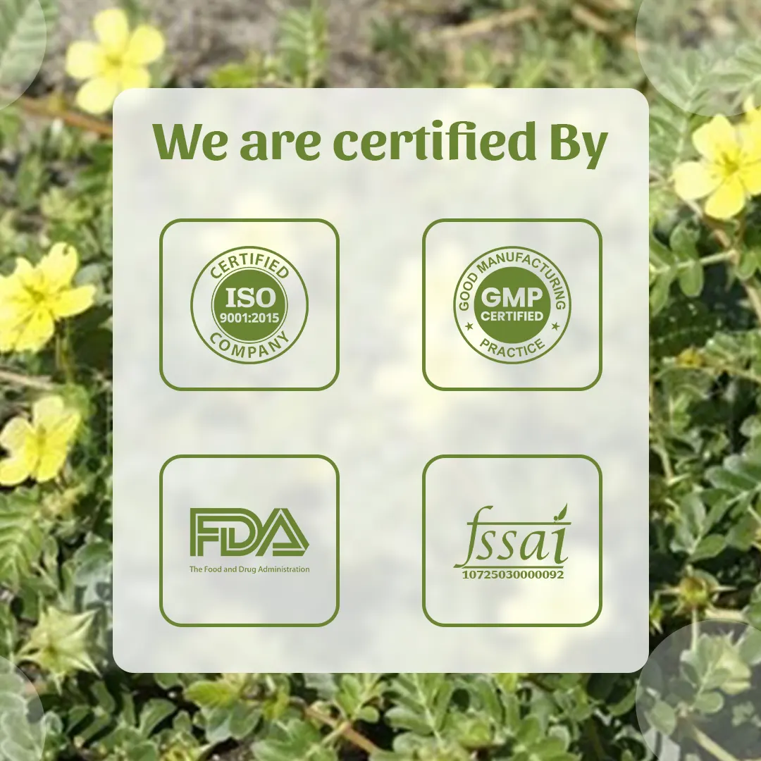 6 Gokharu We are certified By