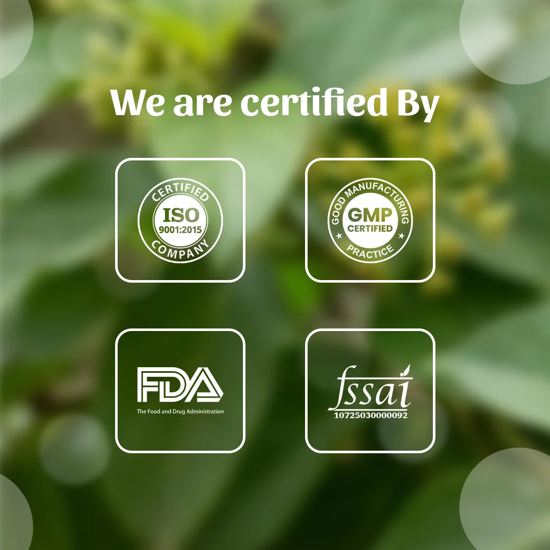6 Gudmar Dry Leave We are certified By