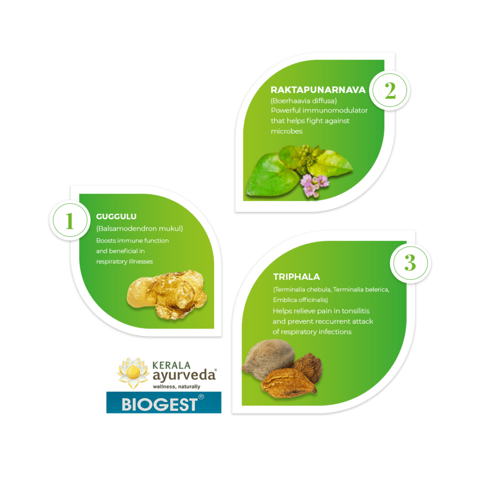 7th-ingredients-without-1-1000x1000