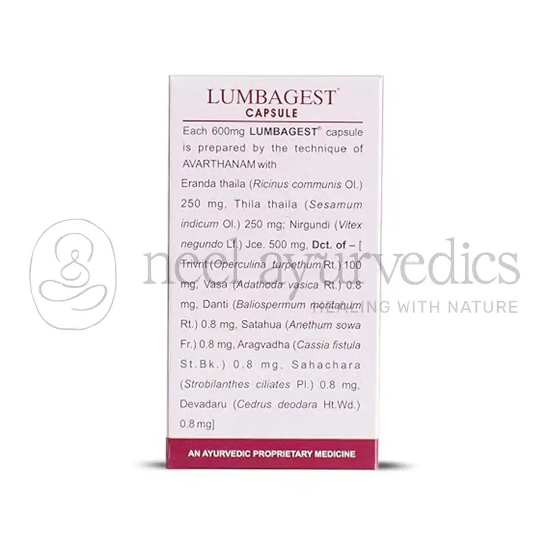 Kerala Ayurveda Lumbagest Capsules – 100 Cap2