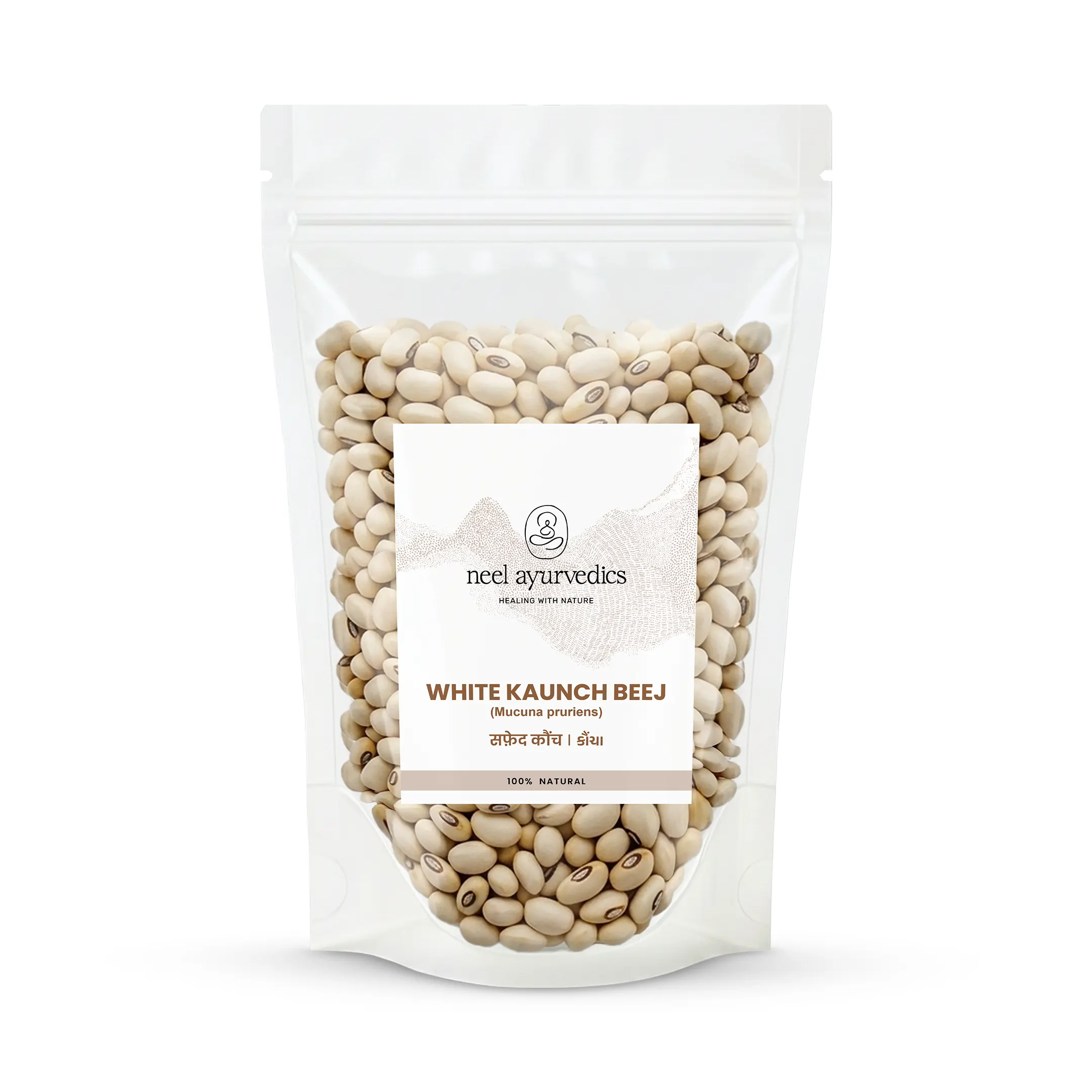 Neel Ayurvédique Blanc Kaunch Beej | Mucuna pruriens Blanc | Graines Kaunch Blanches | Kauch Beej Safed | Konch