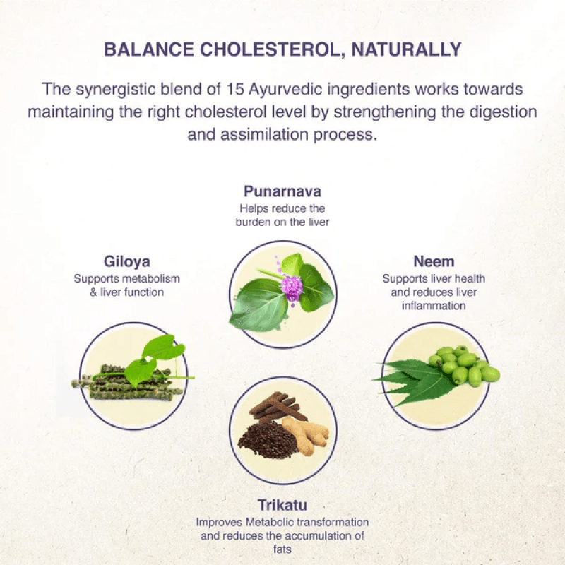 lipomap-natural-remedy-for-cholesterol-management-maharishi-ayurveda-india-3_600x-800×800