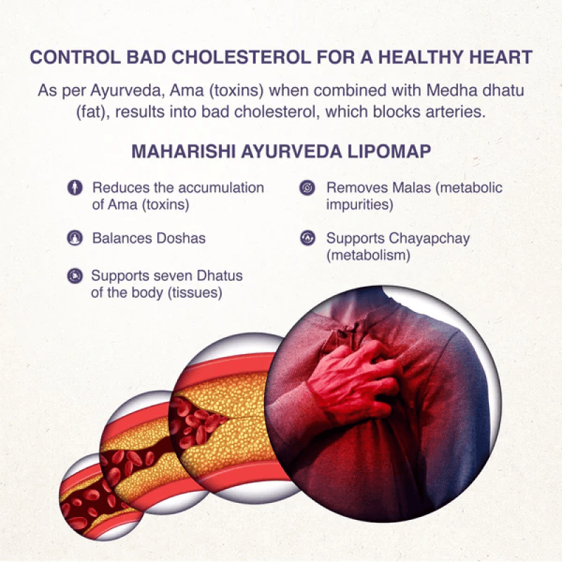 lipomap-natural-remedy-for-cholesterol-management-maharishi-ayurveda-india-7_600x-800×800