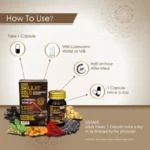 Aimil Shilajit Gold Capsules – 20 Caps