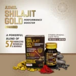 Aimil Shilajit Gold Capsules – 20 Caps