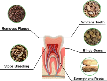 Ingredients-768x584-1